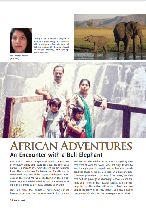 African Adventures An Encounter with a Bull Elephant